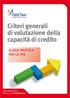 Criteri generali di valutazione della capacità di credito GUIDA PRATICA PER LE PMI