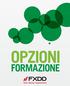 INDICE. Introduzione Cosa sono le Opzioni FX? Trading 101 ITM, ATM e OTM Opzioni e strategie di Trading Glossario Contatti e Informazioni
