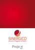 SINERGICO. soluzioni integrate software