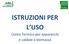 ISTRUZIONI PER L USO. Conto Termico per apparecchi e caldaie a biomassa