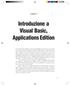 Introduzione a Visual Basic, Applications Edition