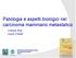 Patologia e aspetti biologici nel carcinoma mammario metastatico