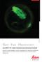 First - Fast - Fluorescence