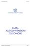 CONFINDUSTRIA PIACENZA 08/07/2009 GUIDA ALLE CONVENZIONI TELEFONICHE. Guida alle convenzioni telefoniche pag. 1