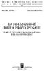 LA FORMAZIONE DELLA PROVA PENALE