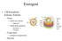 Estrogeni. 17 -Estradiolo, Estrone, Estriolo. Ovaio. Corpo luteo. Placenta. cellule teca interna. cellule della granulosa. estrogeni e progesterone