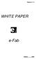 Release 3.1.3 WHIT E PAPER. e-fab