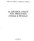IL GIUDICE UNICO NEL PROCESSO CIVILE E PENALE
