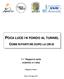 11 Rapporto sulla mobilità in Italia