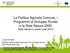 La Politica Agricola Comune, i Programmi di Sviluppo Rurale e la Rete Natura 2000 Stato attuale e quadro post 2013