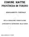 COMUNE MATTIE PROVINCIA DI TORINO