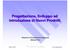Progettazione, Sviluppo ed Introduzione di Nuovi Prodotti. Research & Development Department - Michele Ferri -