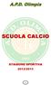 SCUOLA CALCIO STAGIONE SPORTIVA 2012/2013