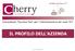 IL PROFILO DELL AZIENDA. Cherry Consulting S.r.l 1