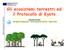 Gli ecosistemi terrestri ed il Protocollo di Kyoto