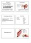 LE ERNIE. nomenclatura. Tipi di ernia. Fisiopatologia dell ernia. Il canale inguinale ERNIE INGUINALI