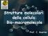 Strutture molecolari della cellula: Bio-macromolecole. Prof. C. Guarino