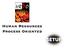 Human Resources Process Oriented