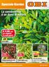 Speciale Garden XXXX. La convenienza è un dono di natura 7, 99. 39, 90 Serra per terrazzo Prunus Laurocerasus vaso lt 3, H cm 60/70, cod 4439980