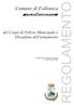 REGOLAMENTO. Comune di Follonica. del Corpo di Polizia Municipale e Disciplina dell'armamento. Delibera del Consiglio Comunale n. 8 del 8 marzo 2007