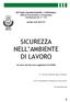 SICUREZZA NELL AMBIENTE DI LAVORO