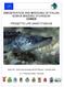 CONSERVATION AND BREEDING OF ITALIAN COBICE ENDEMIC STURGEON COBICE PROGETTO LIFE 04NAT/IT/000126