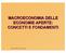 MACROECONOMIA DELLE ECONOMIE APERTE: CONCETTI E FONDAMENTI. Harcourt Brace & Company