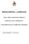 PER L APPLICAZIONE DELL IMPOSTA COMUNALE SULLA PUBBLICITA E DEL DIRITTO SULLE PUBBLICHE AFFISSIONI