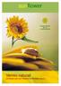 sunflower Vernici naturali composte solo con materie fornite dalla natura Prodotti naturali per un mondo naturale