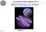 LM Sc.Biosanitarie Ricerca Diagnostica 2013-14 PROTOCOLLO FISH. lezione 12. By NA