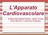 L'Apparato Cardiovascolare. di Mara Benedetta Fantoni, Jaider Armas, Anna Miccoli e Toalombo Giuseppe.