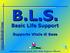 B.L.S. Basic Life Support Supporto Vitale di Base Secondo le linee guida 2007 della Regione Toscana
