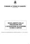 COMUNE di TORINO DI SANGRO Provincia di Chieti REGOLAMENTO DELLE PROCEDURE PER L ACQUISIZIONE IN ECONOMIA DI BENI E SERVIZI