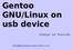 Gentoo GNU/Linux on usb device