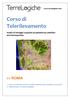 Corso di Telerilevamento