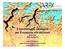 Il monitoraggio idrologico per il supporto alle decisioni Enrico Zini ARPA Lombardia