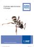 GUIDA PRATICA. Controllo delle formiche in Europa. Le soluzioni ai vostri problemi d infestazione.
