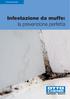 OTTO Guida pratica. Infestazione da muffe: la prevenzione perfetta