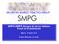 SMPG-NMPG Gruppo di lavoro italiano Fondi di Investimento