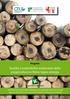Qualità e sostenibilità ambientale della pioppicoltura in filiere legno-energia