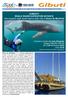 DJIBOUTI WHALE SHARK EXPEDITION 2015/2016 Alla scoperta degli squali balena sulla rotta di Henry de Monfreid