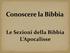 Le Sezioni della Bibbia L Apocalisse