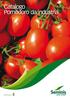 Indice. Pomodoro da industria. Ibridi Allungati: Docet, Pantos, Herdon. Ibridi Prismatici: Ibridi Allungati: Perfectpeel, Gordes, AB 8058