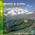 Rettili & Anfibi. in Alta Valsesia