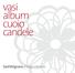 vasi album cuoio candele Design Interiore