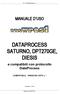 DATAPROCESS SATURNO, DPT270GE, DIESIS