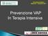 Formazione Interna Edizione 1 Semestre 2011. Prevenzione VAP In Terapia Intensiva