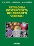 AUTORI. GIUSEPPE LIMA Professore Associato di Fitoiatria Dipartimento di Scienze Animali, Vegetali e dell Ambiente Università del Molise, Campobasso