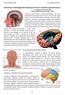 Anatomia e fisiologia del sistema nervoso centrale e psicofarmaci