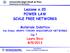 Lezione n.20 POWER LAW SCALE FREE NETWORKS